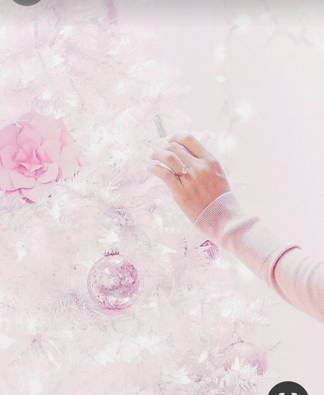 Screenshot_20231225_221305_Pinterest