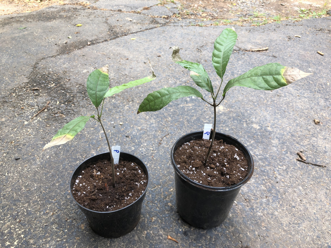 F40A6794-601F-4CEF-995B-BA94B2F21B72