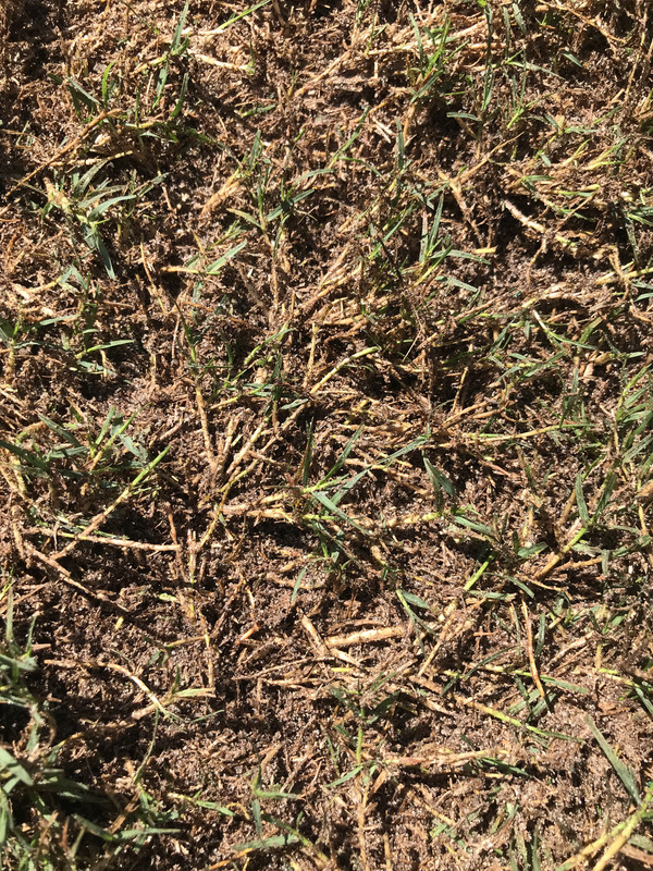 103D5AC2-B90F-44FB-B928-4FF850313DC6