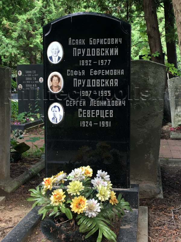 severtsev2