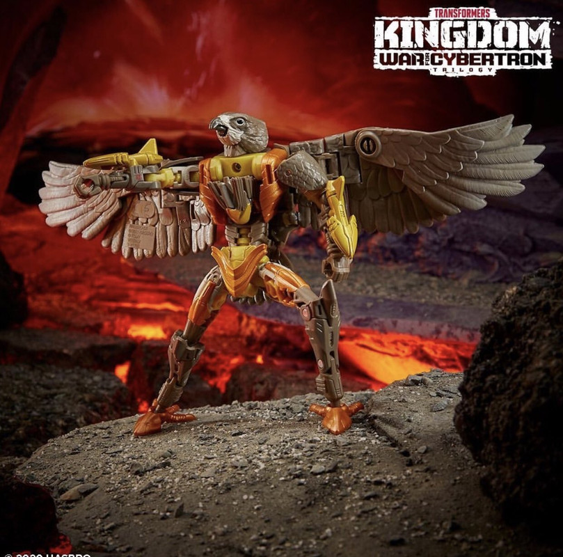 Kingdom-Airazor-03 (1)