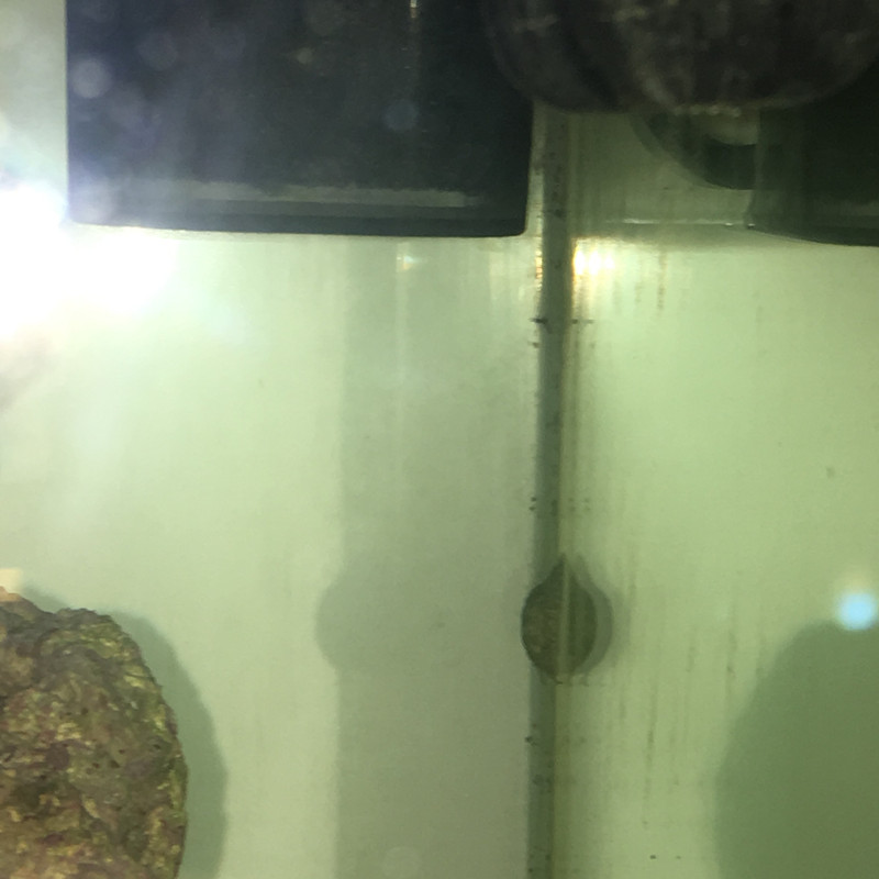 8D5DDCFF-66C7-4BF1-943B-3BF0CF965E96