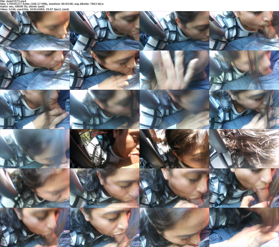 20082024133752screenshot