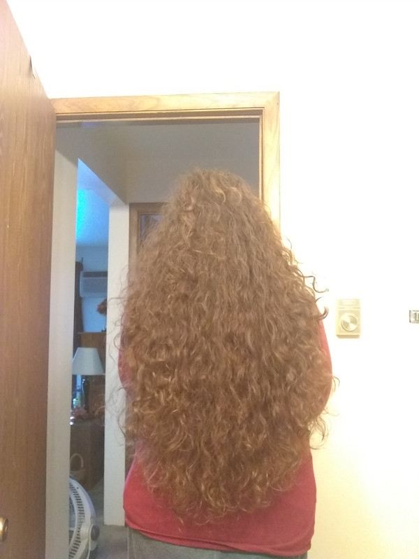 IMG_20191111_145602320