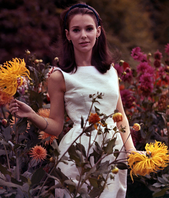 susan strasberg b20