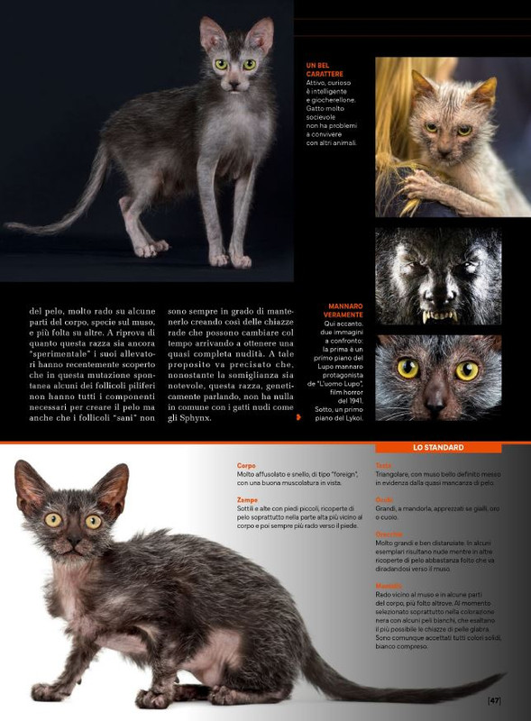 Ga Ma Feb-Mar 2024 (12)