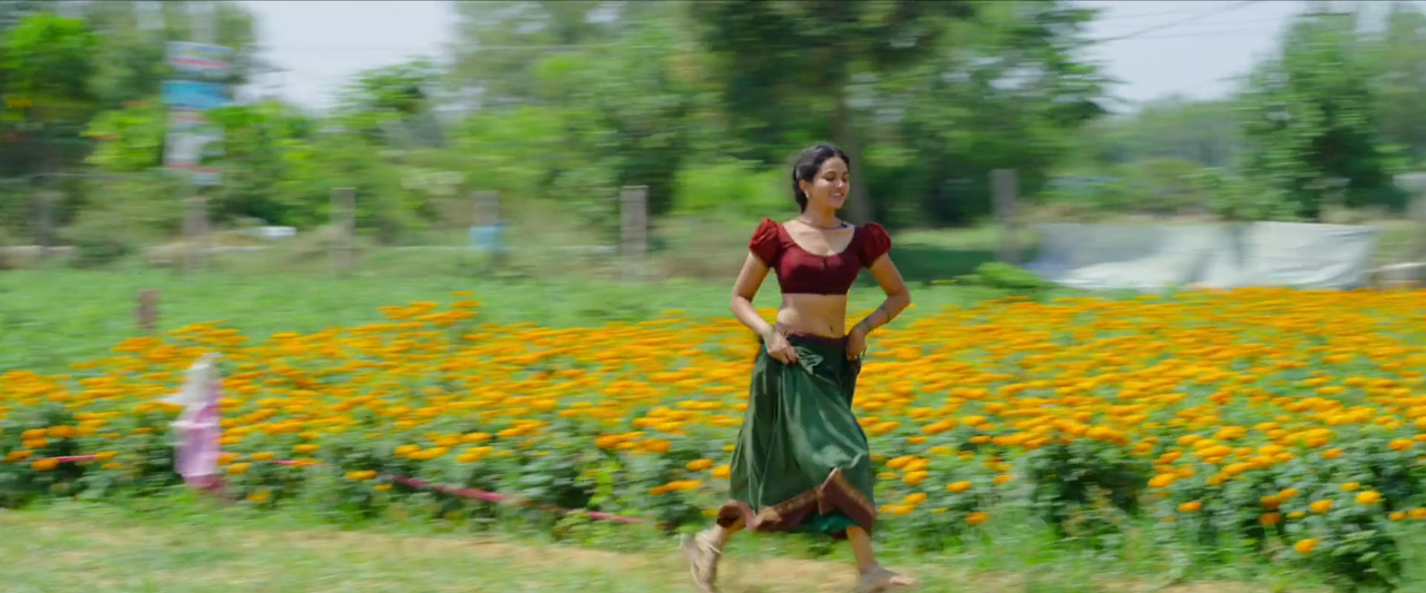 vlcsnap-2024-01-13-14h43m38s969