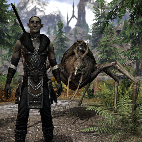 orc1.png