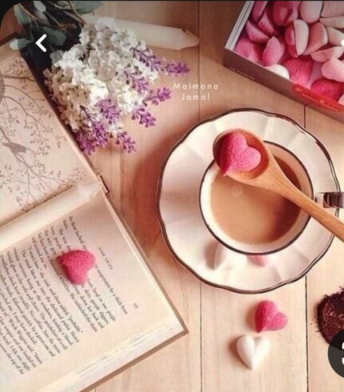 Screenshot_20230220_001153_Pinterest