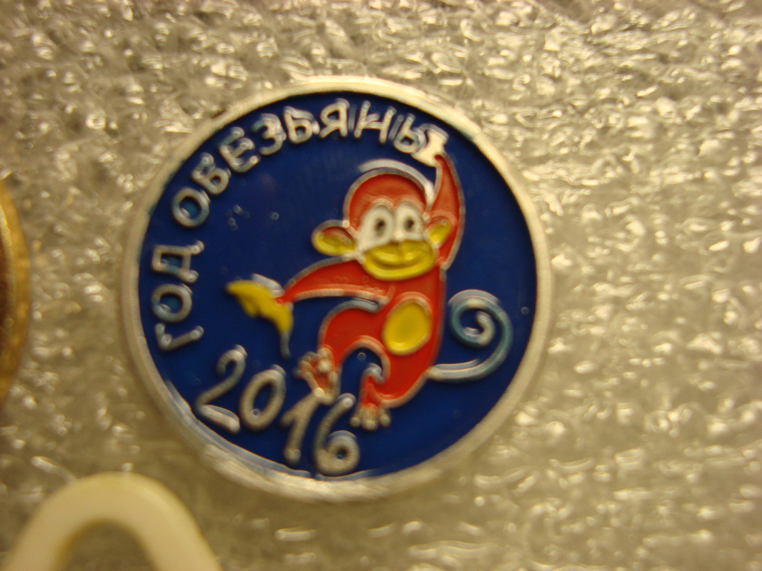 DSC04588
