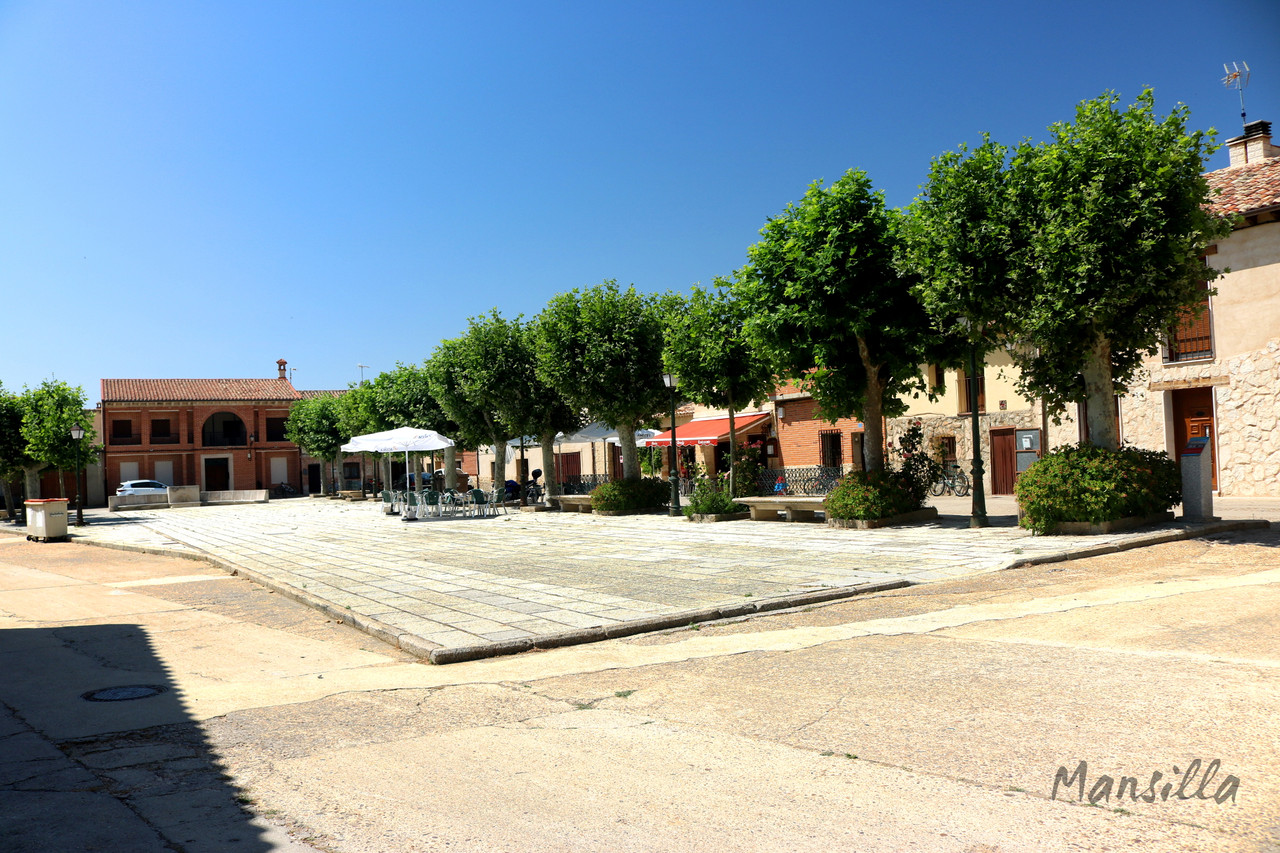 Uruena-2275