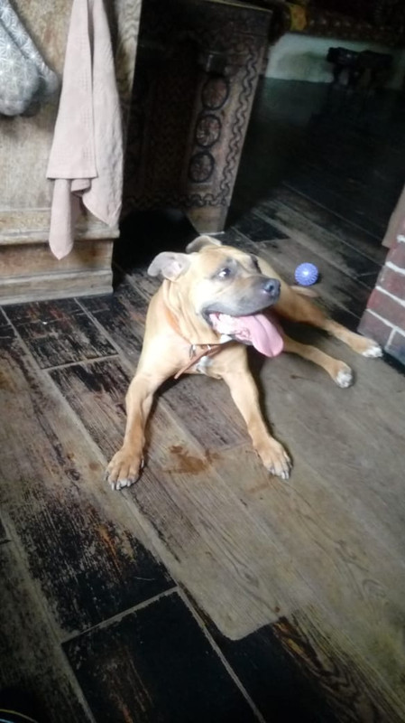 8DA1B006-43A6-498F-8849-69360C6D3F61