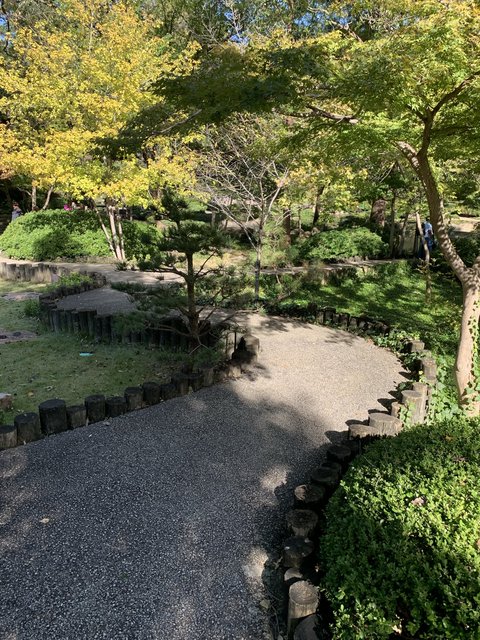 [Image: 3-A6-BE66-C-0-C9-F-402-C-B619-D4734-B50-F618.jpg]