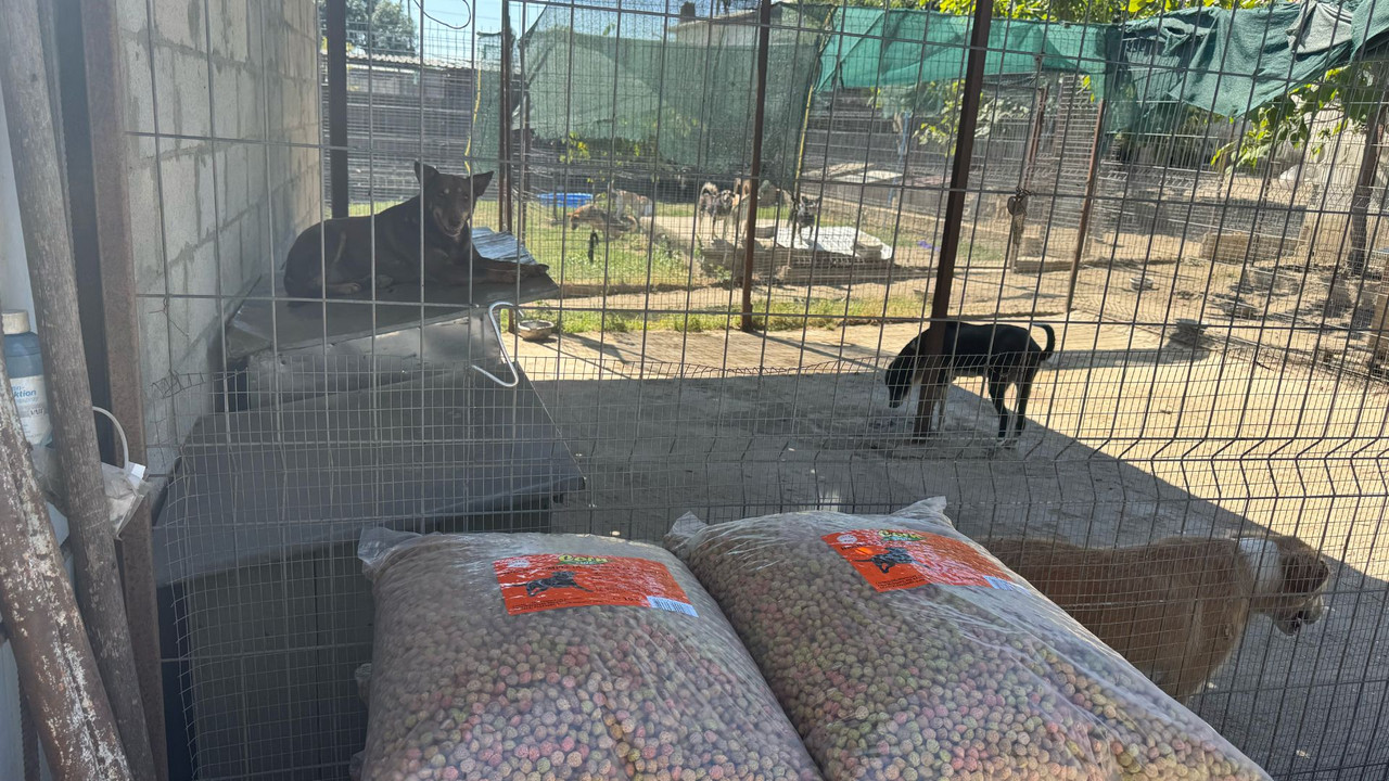 Saci de hrană CornLine livrați la un azil partener; câini în țarc