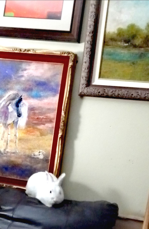 IMG_٢٠٢١٠٦١٠_٠٥٣١١٤