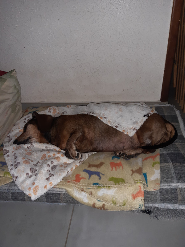 [Image: 20220317-171825.jpg]