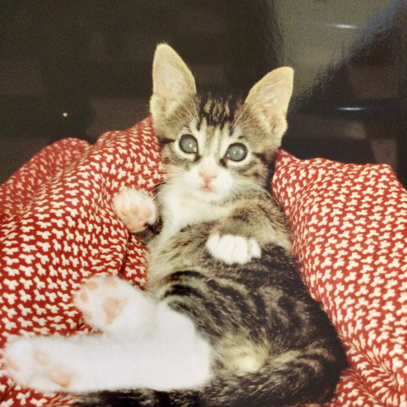 BDAB4CE3-B976-428F-82AC-B8CAC9135D69