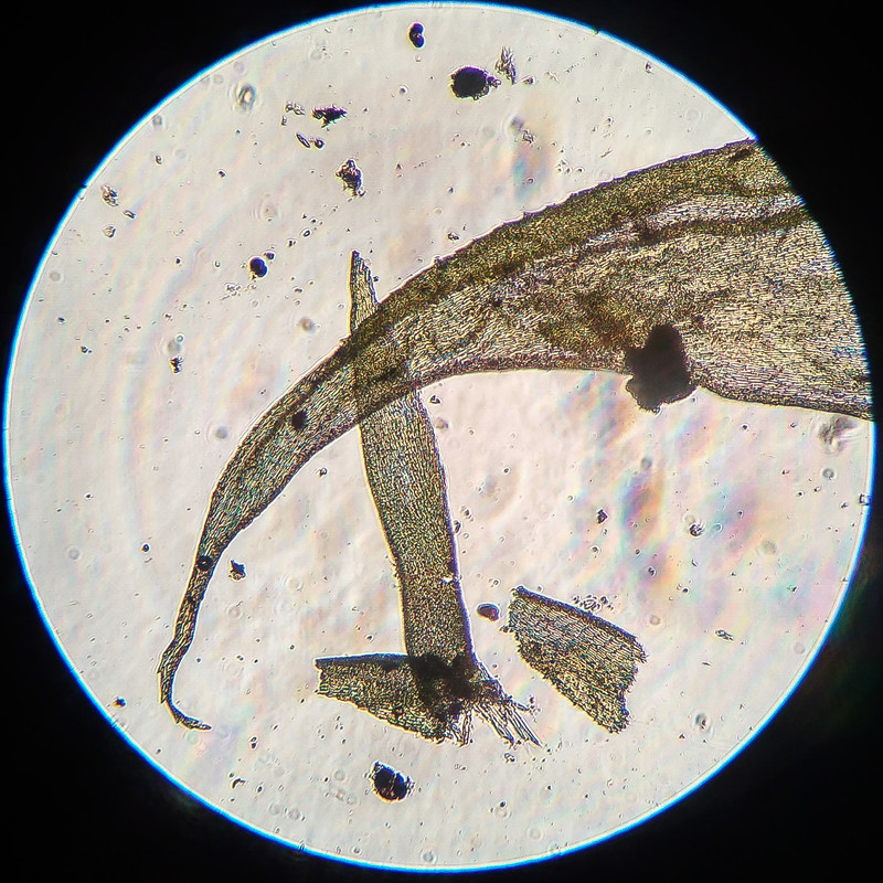 IMG 20250616 205604 HDR