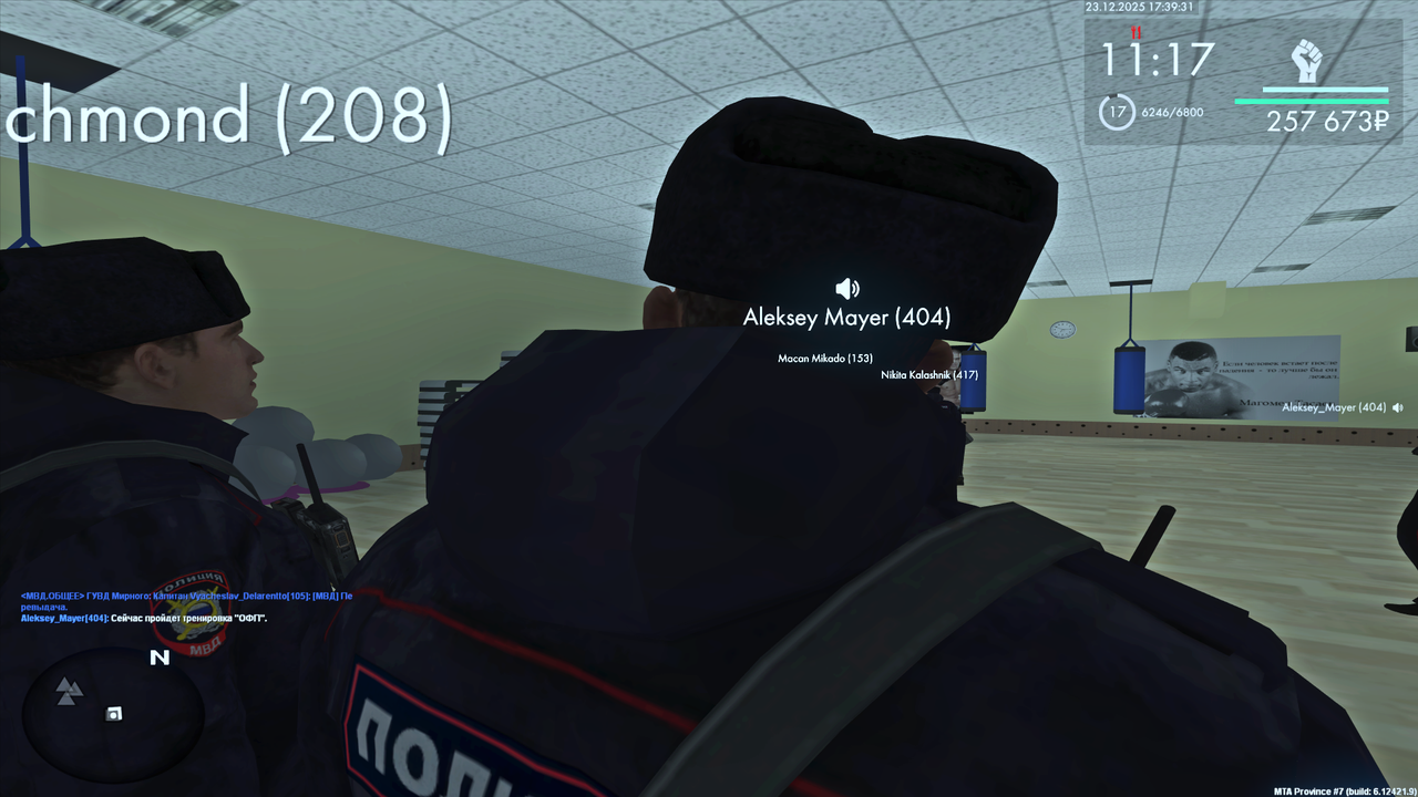 Снимок экрана (336)