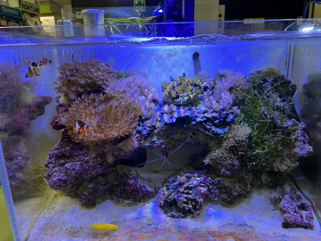 FC704FD3-77C4-48BF-9B2D-369D10B0E8AF