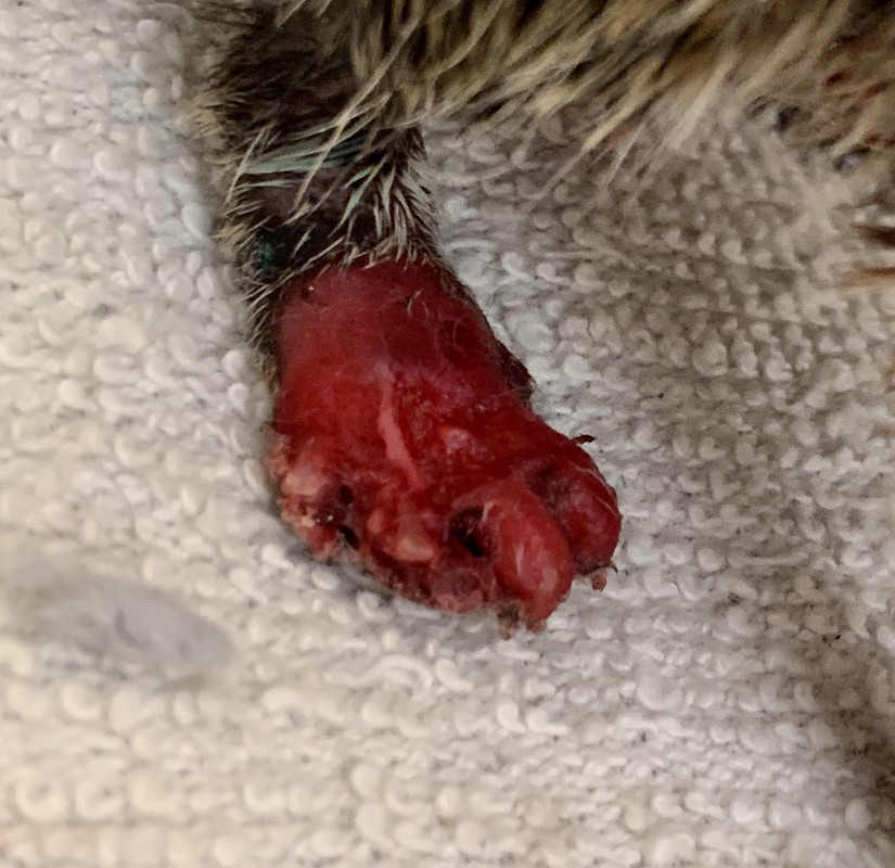 8628CFD0-176F-4834-BF2F-C6121DB10156