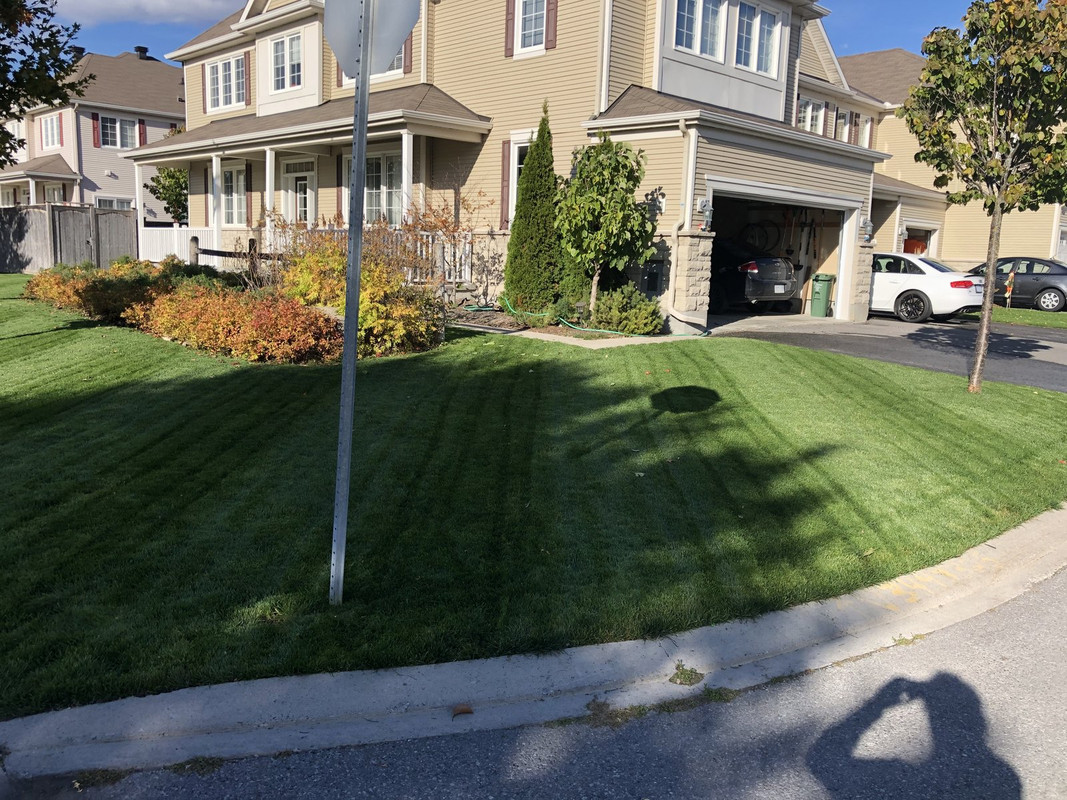 1575059E-1486-4DE6-B909-AC8B7CE63B50