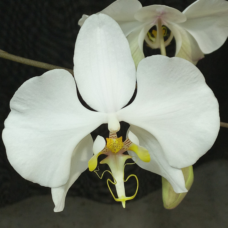 Cz Uoim Tb5YT0nku c Ls XCg Uu Mi UQN1Vd03Ty WUuvne38XIPL0PD8Wdtcq3 t ZYgr N5fv P6Zy KH3a Yiz 9i Qf I