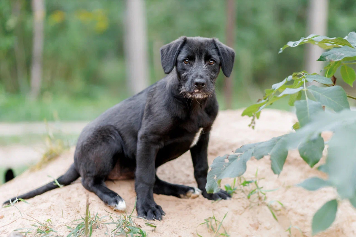 resize-image-online.com_2jpg_hHpMFhDe