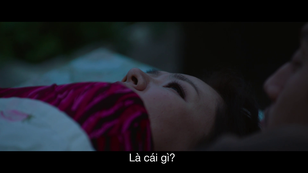 vlcsnap-2026-04-25-20h45m24s759.png