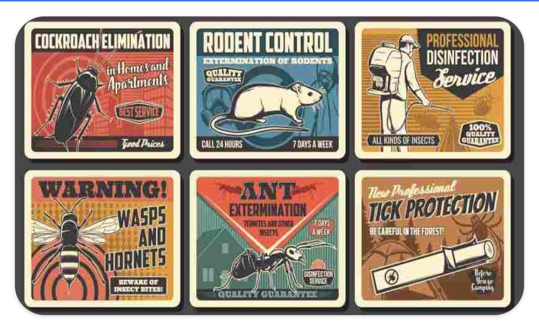 All Types Pest Control Services, Termite,ant, cockroach, Rodents tick,Bed Bug