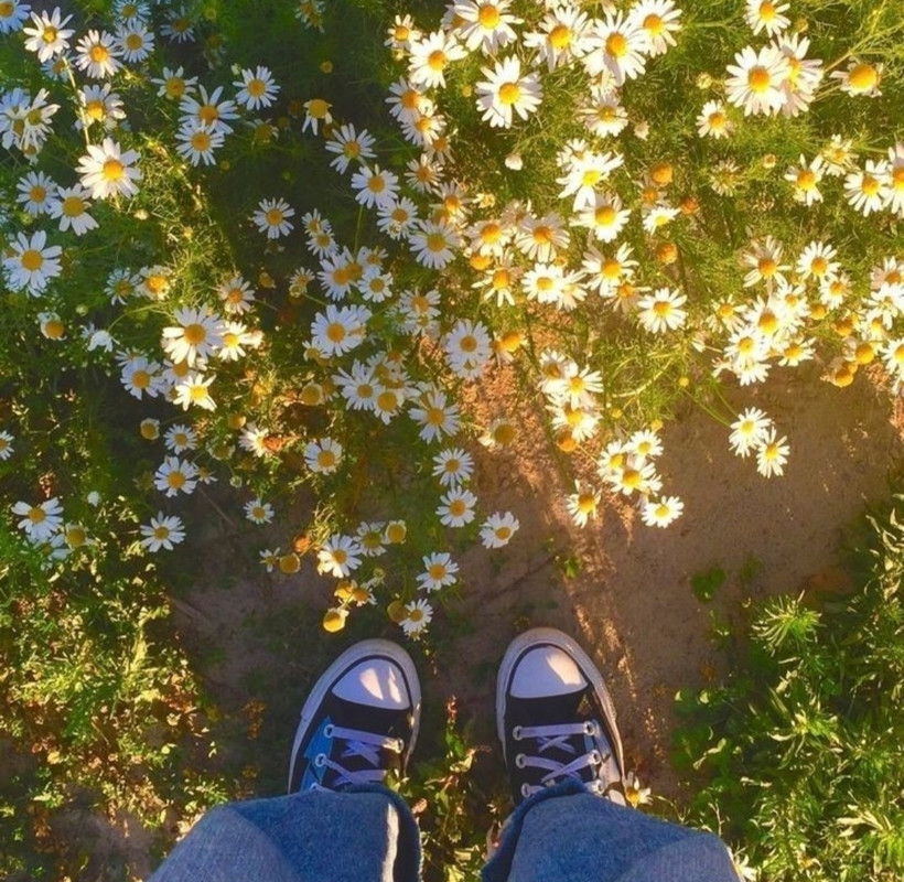 Screenshot_20240425_205141_Threads