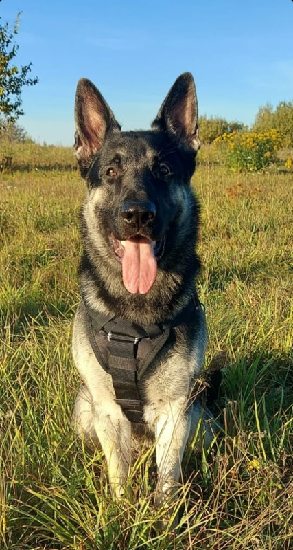 HHimLWw7puYHvjECSZPquXzFADF-4R0gPbsG4SnHcXJYJ6Ykb-Z8UcMhG-vKHzUjKocGzfhyEgxRtkT9yLFMG92e