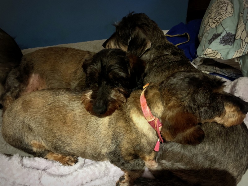 [Image: IMG-0429.jpg]