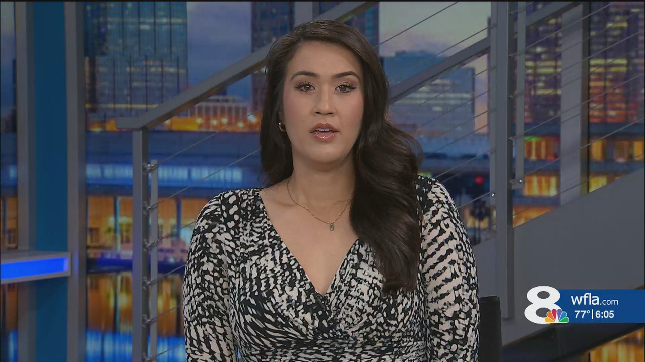 NewsChannel 8 at 6p Sunday_20241215_23002330.ts_snapshot_06.50.802