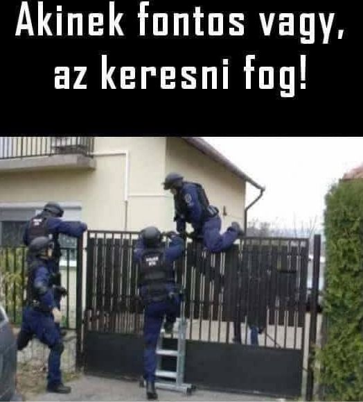 https://i.postimg.cc/3R4yLFM6/akinek-fontos-vagy.jpg