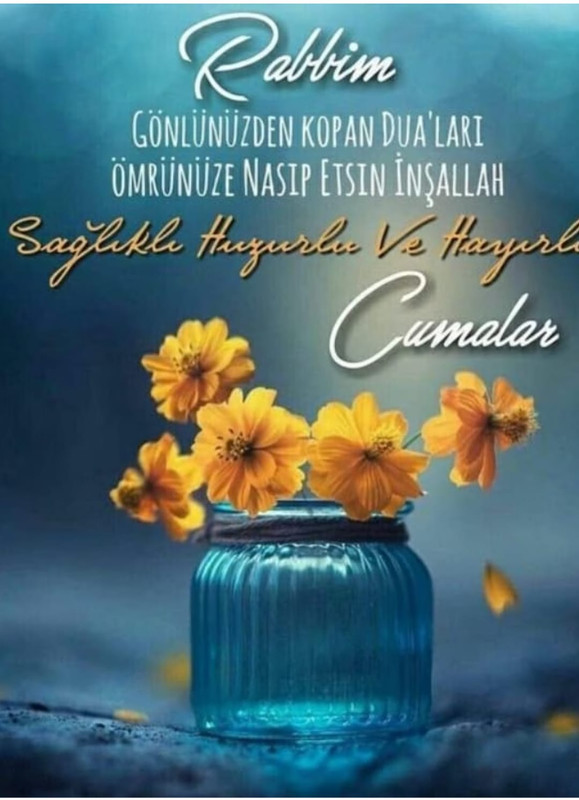 resim