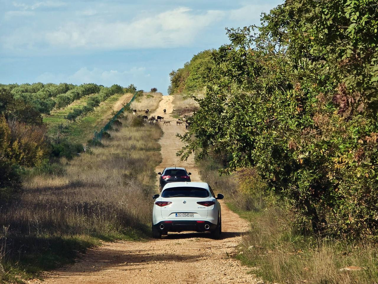 397C8A25 2DFB 4258 BE64 407DD2F8C735