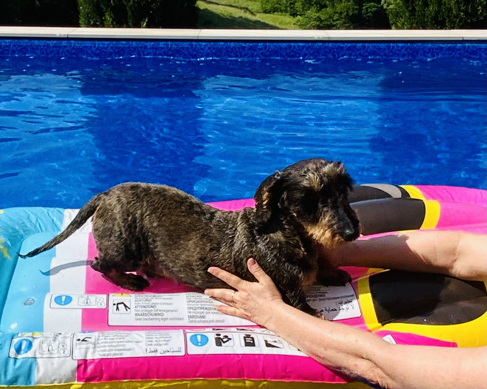 [Image: Full-Size-Render.jpg]