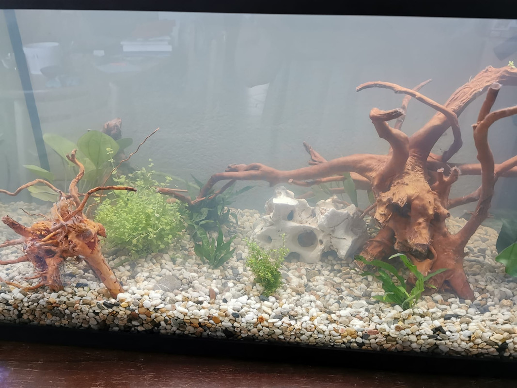 IMG-20220815-WA0000 (1)