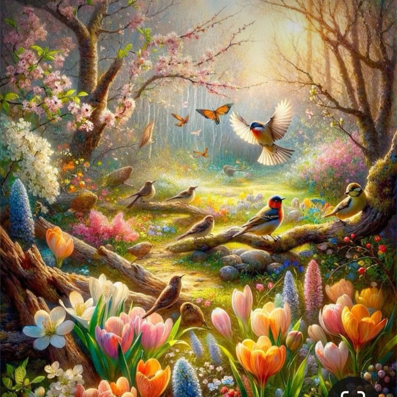 Screenshot_20240412_223845_Pinterest