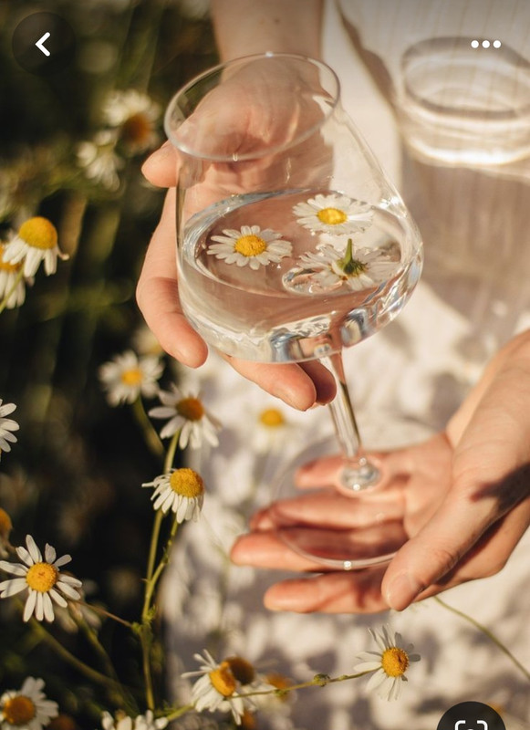 Screenshot_20240331_001433_Pinterest