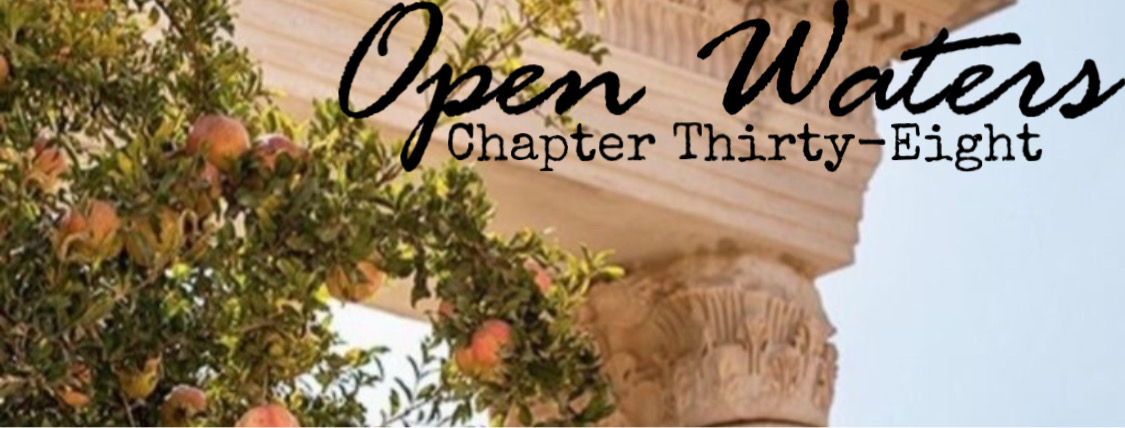 Chapter Thirty Eight: Peach trees by a white stone temple. 