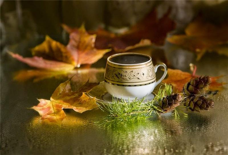 446500-autumn-coffee-p.jpg