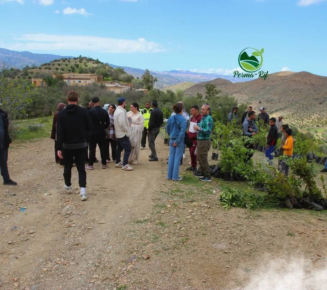 794eaa0d99e6ac0cc21a0e5eb6df6a41