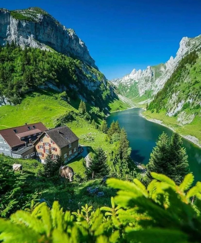 Screenshot_20240419_231743_Threads