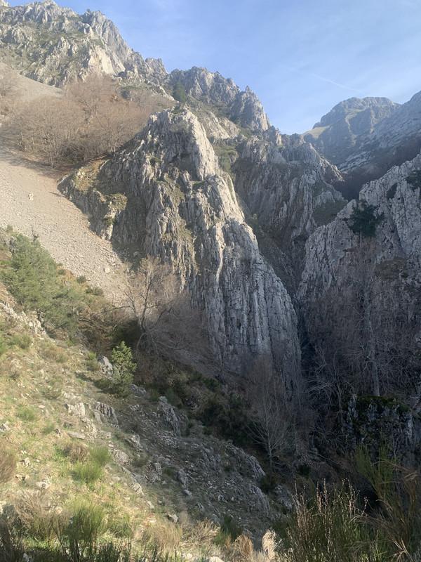 B9D3FAD7-F153-4D5D-871B-E33FC15E27A4