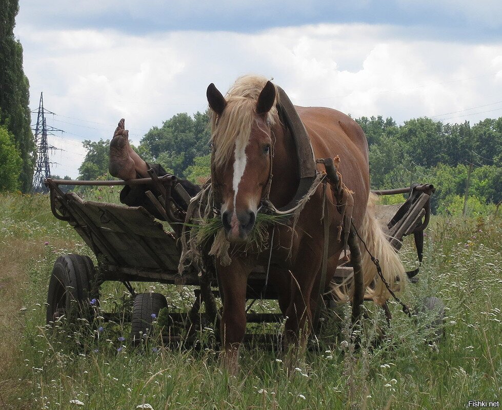 небо России