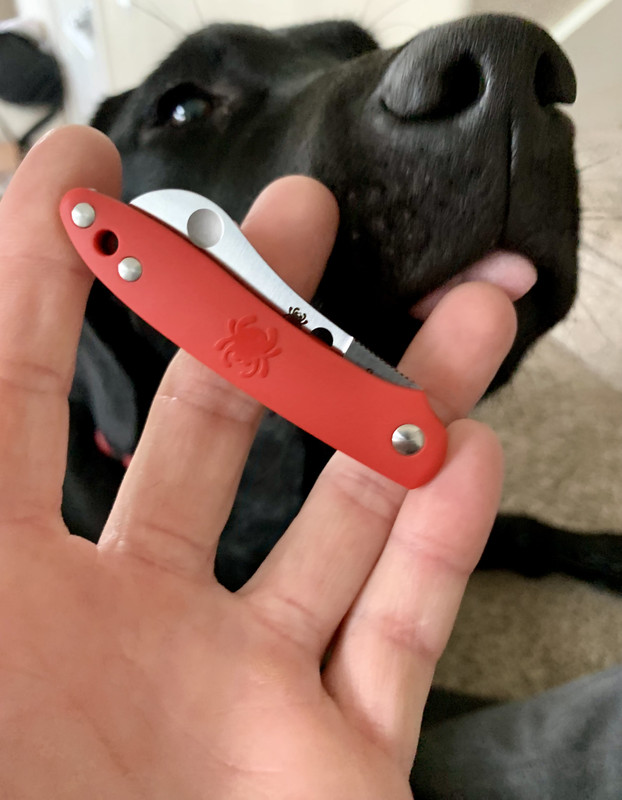 9E2E6AD3-7B26-4438-8468-51C69AE8DB2D