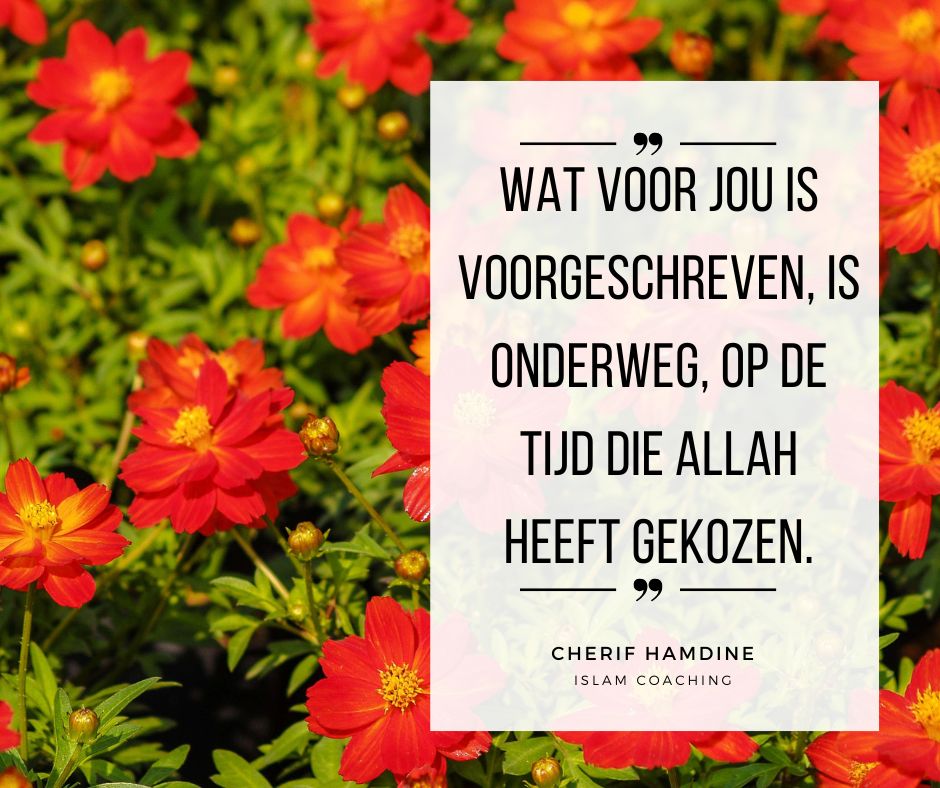 523243287-1285463022986013-1222610719961157206-n