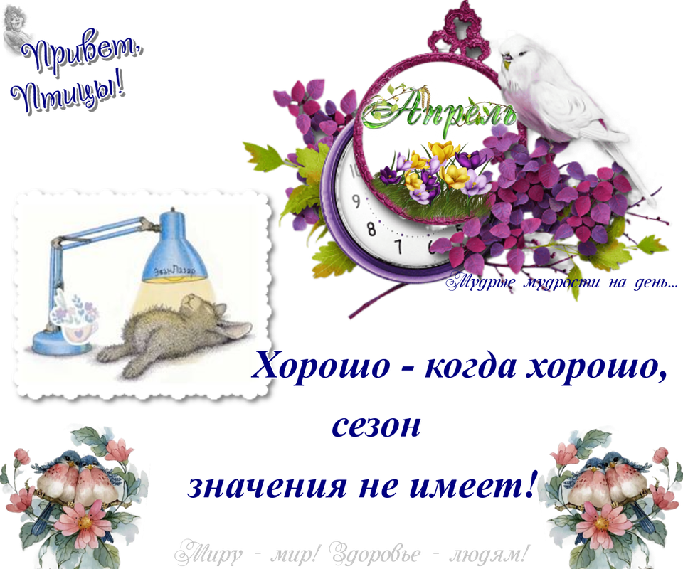 https://i.postimg.cc/3R7Cg5j5/11-04.png